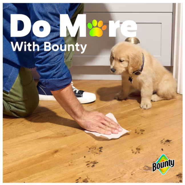 Bounty Double Plus 12 -Count Select-a-size Paper Towels