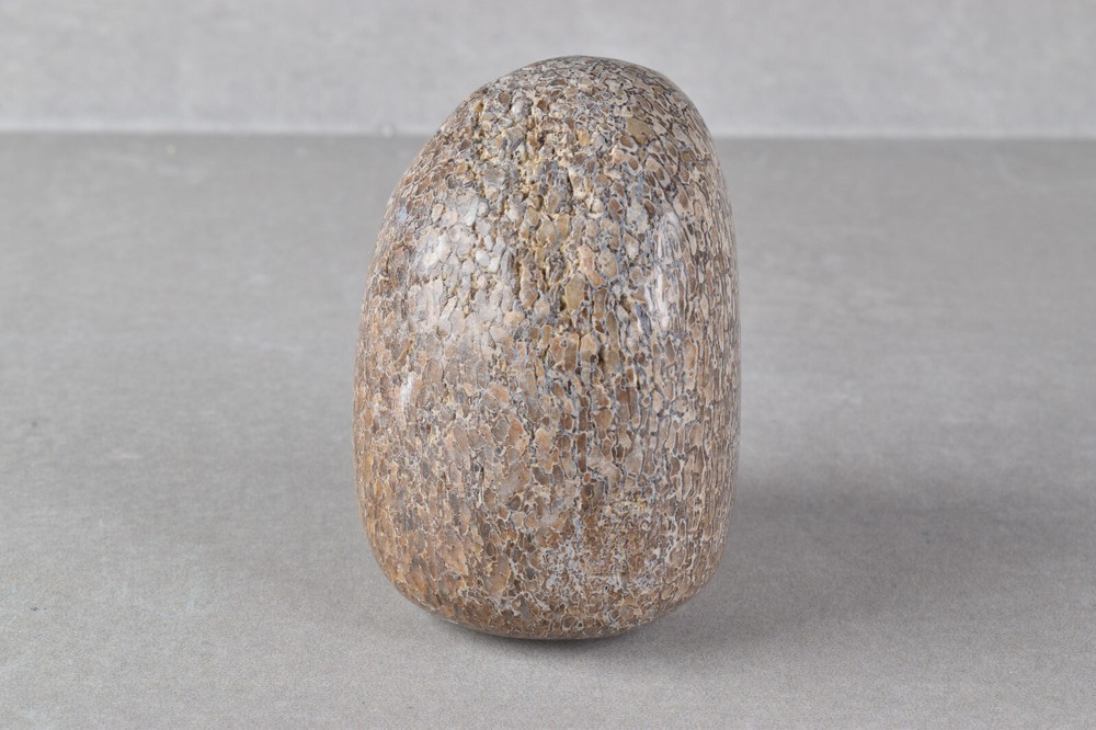 Fossilized Dinosaur Bone Polished from Morocco 4.6 cm # 19754
