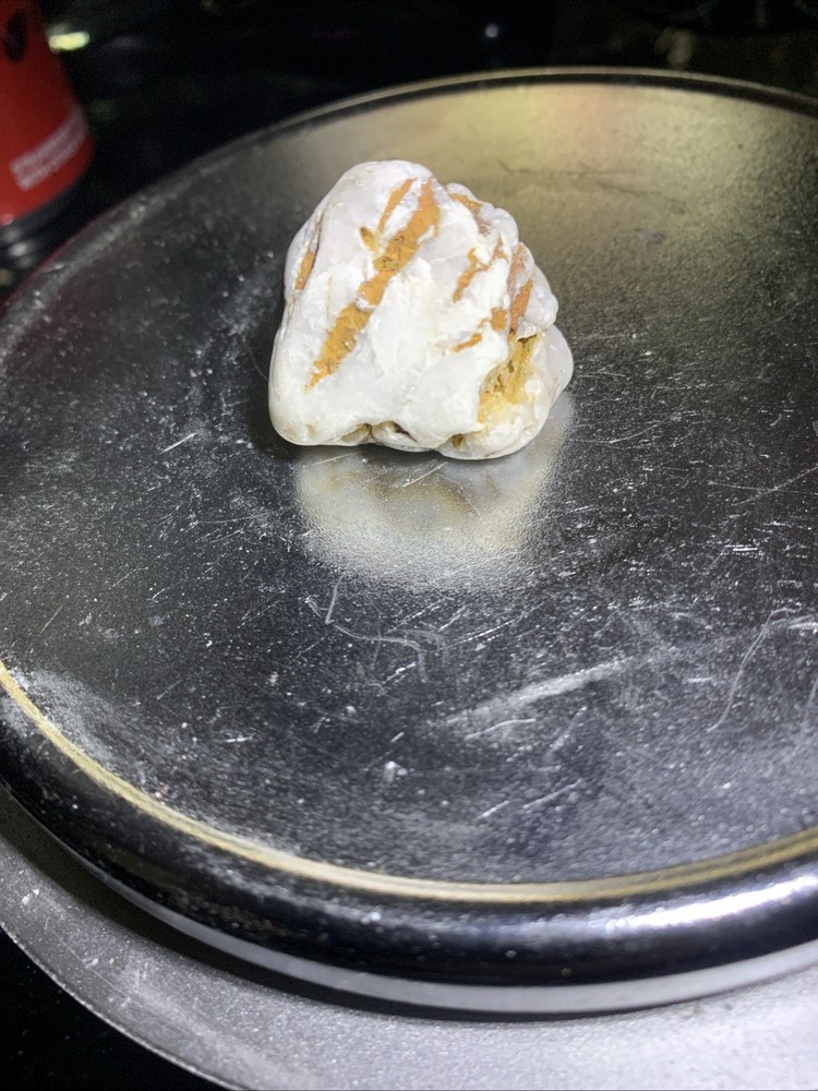 Gold In Quartz Monzanite Matrix (30g)