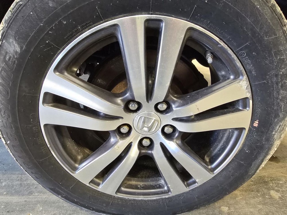 PILOT 2017 Jack 1552265