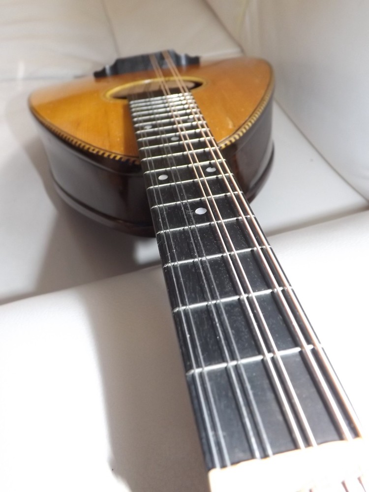 Rare Weymann Mandolute 100yrs old