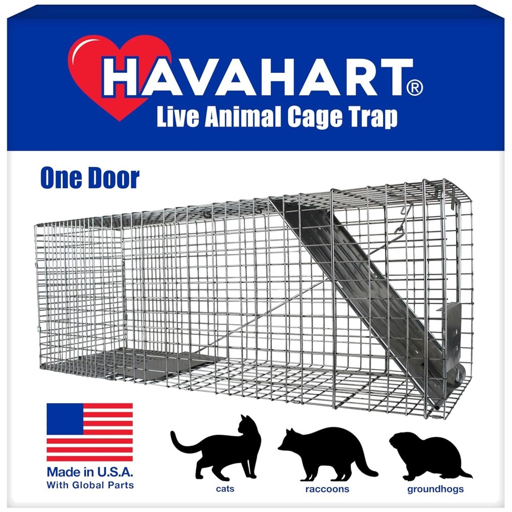 Professional-Style Raccoon Trap - Safe & Effective Live Trap
