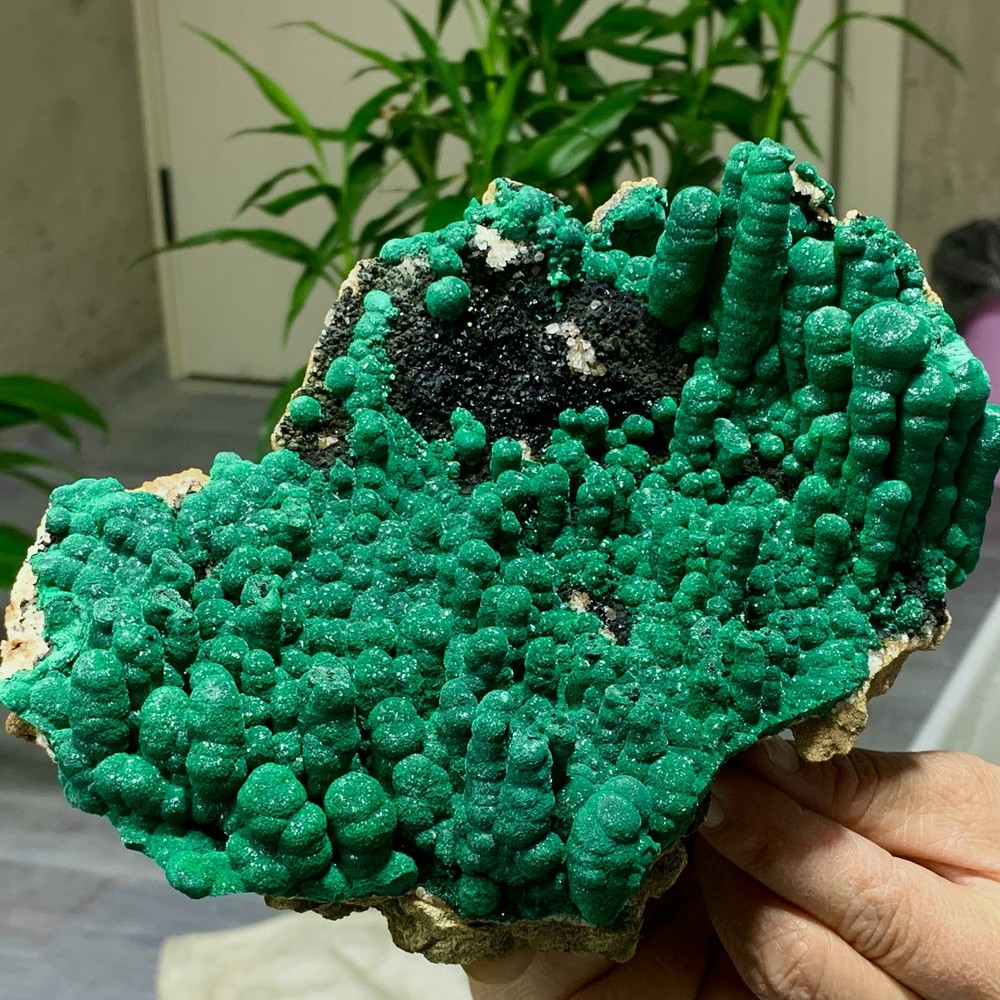 2.34LB Natural Malachite rysocolla transparent cluster rough mineral Sample