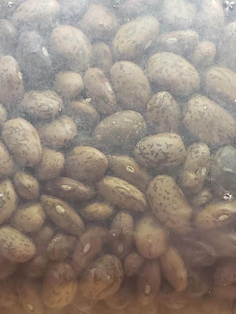 DALLESANDRO - 10 POUND PINTO BEANS