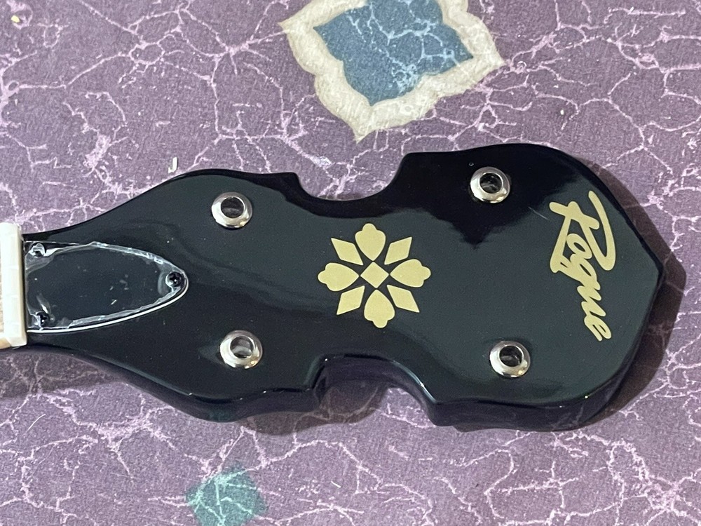 Rogue B30 5-String Banjo Easy Project