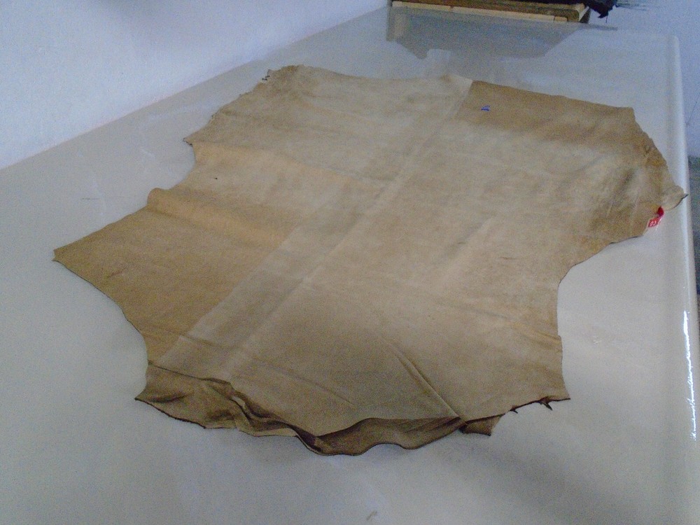 Suede Sheep Leather  # 0018424 Row XX