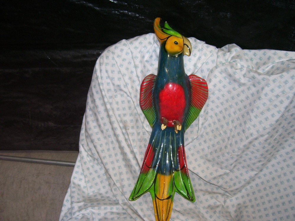 Decorative Hanging Parrot Large