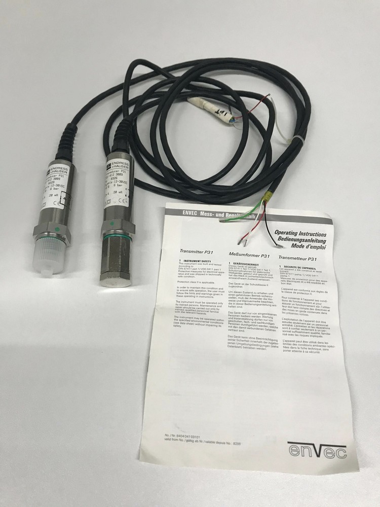 Endress+Hauser Transmitter P31-412 3009