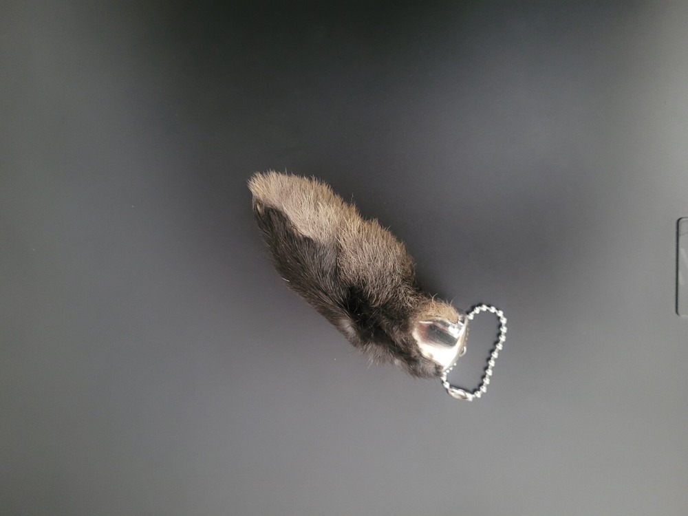 Lucky Rabbit Foot Keychain