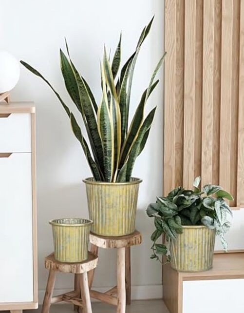 Metal Rustic Flower Pots - 3 PCS Galvanized Planters Rustproof Durable Gold