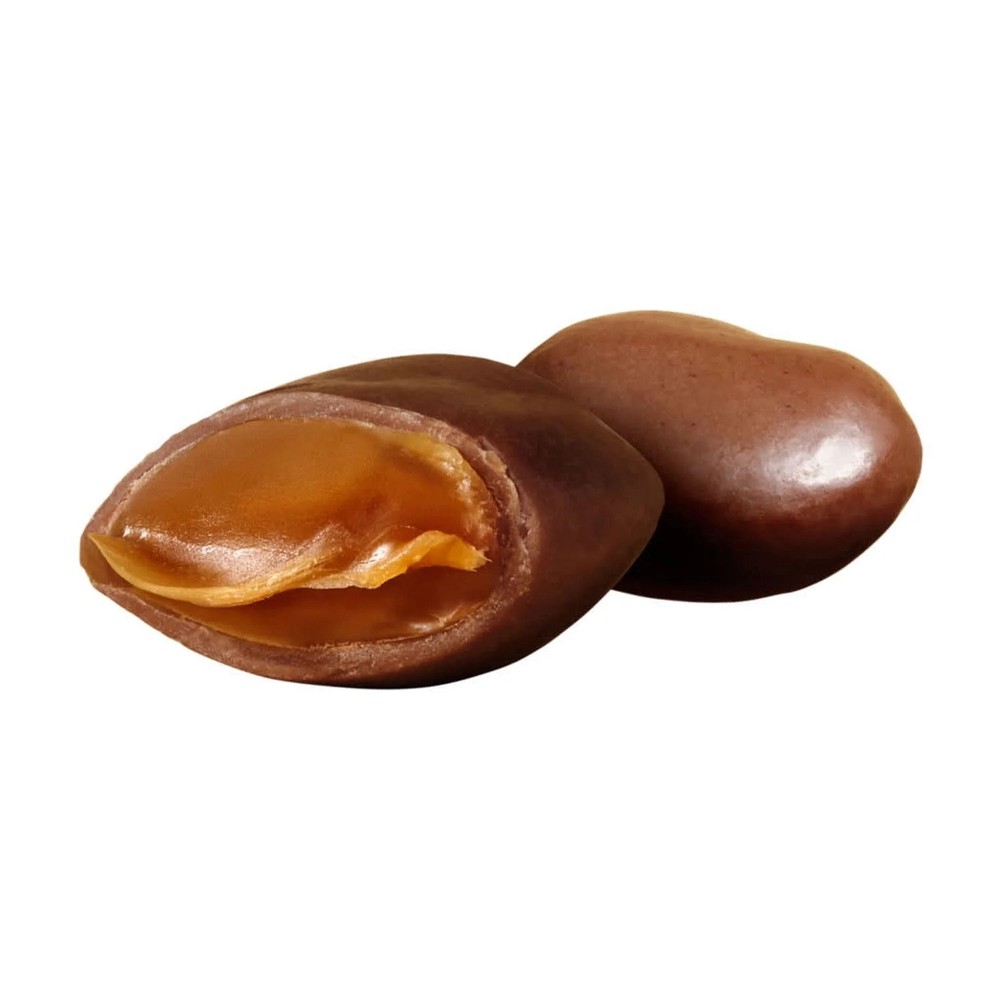 Chocolate Caramel Candy Bites
