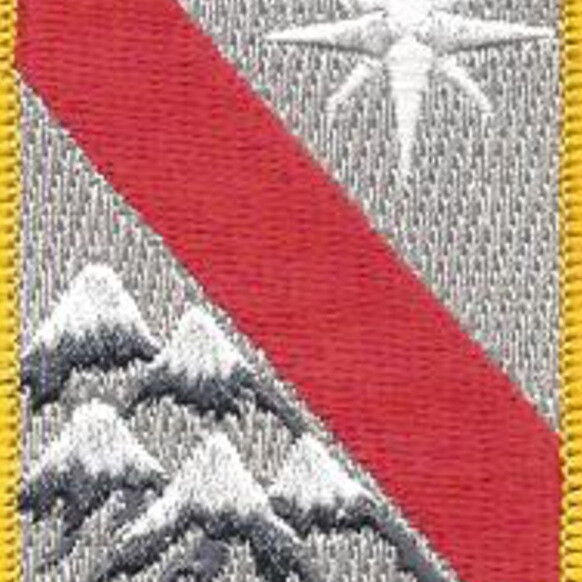 43rd Sustainment Brigade Patch