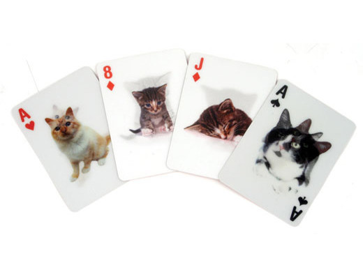 Cats 3D Playing Cards Deck Brand New