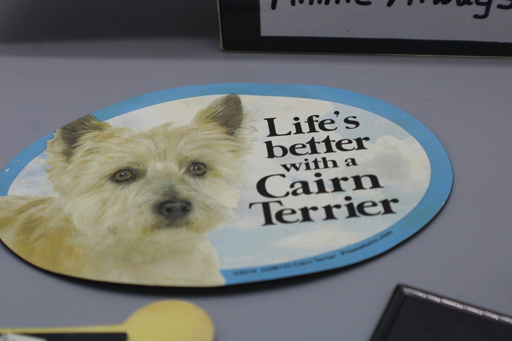 Dog Bone Magnet - I Love My Terrier