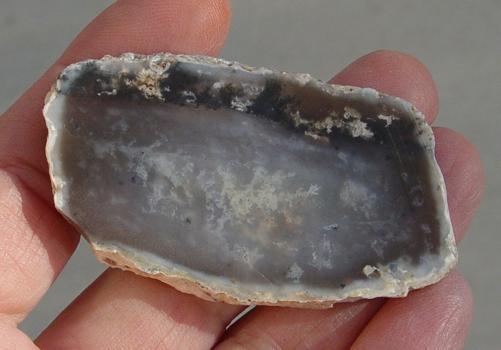 Dendritic Agate Lapidary Slab T967