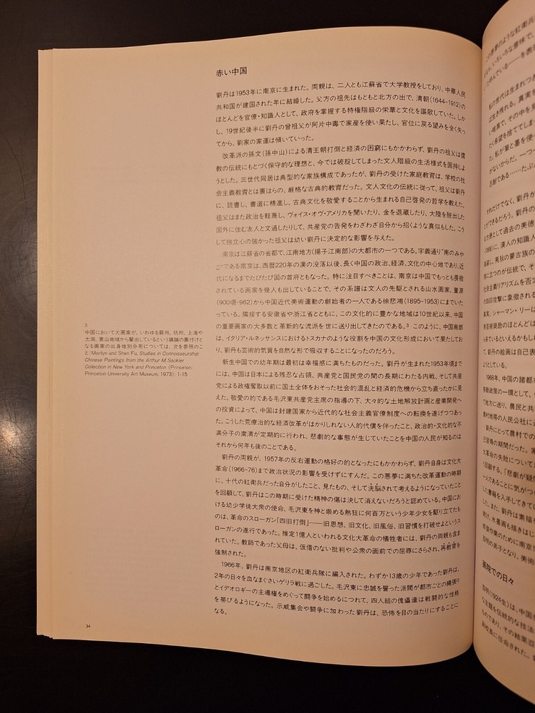 Liu Dan Alternative Visions 1993