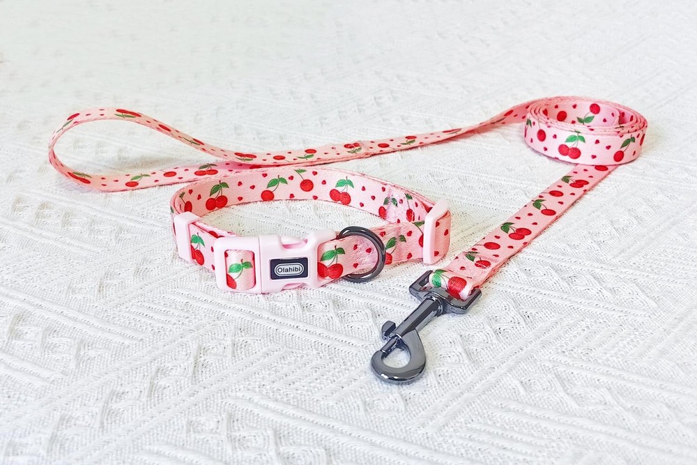 Dog Collar Leash Set Fruit Pattern Polyester Material Adjustable Collar and 5...