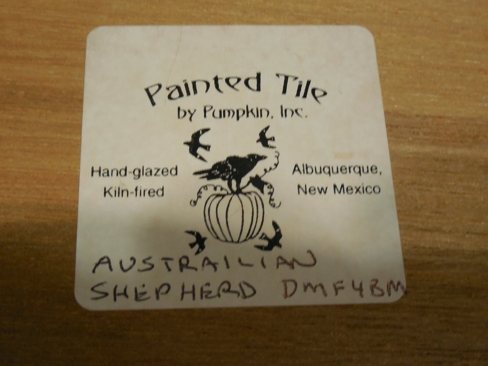 Australian Shepherd - Hand Painted Glazed Tile from Pumpkin Tile In Custom Frame