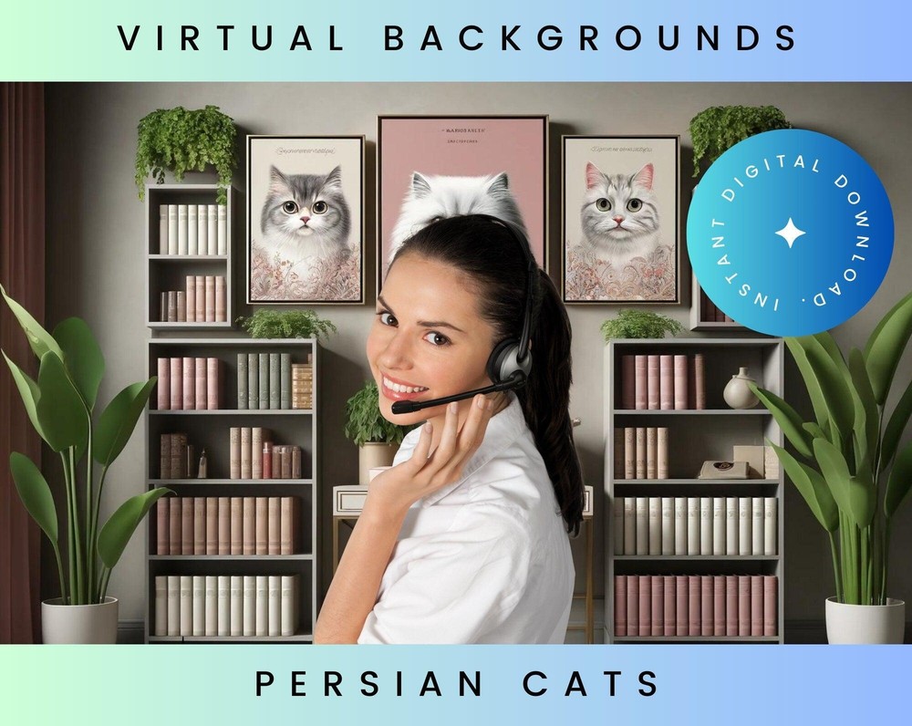 Persian Cat Pink Zoom Backgrounds