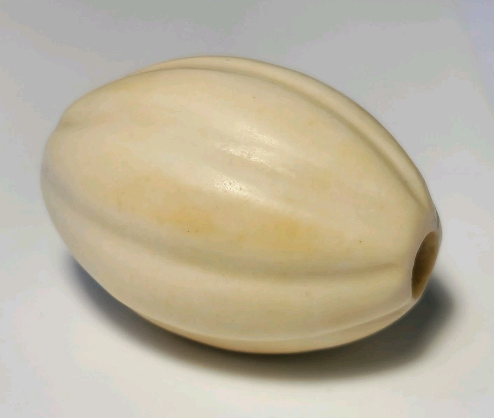 ANCIENT LARGE WESTERN ASIAN SHELL MELON SHAPE BEAD (29mm x 20.5mm)