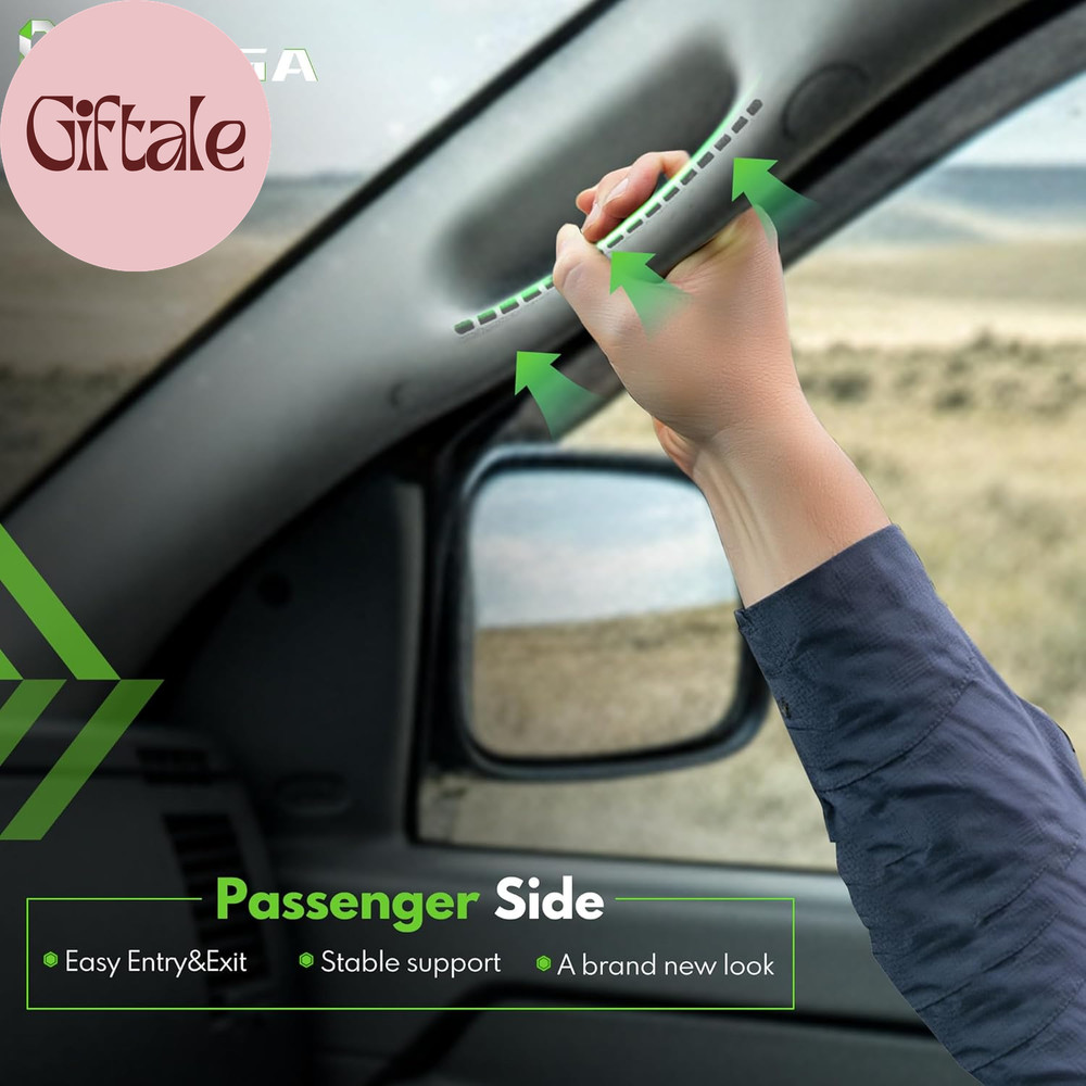 Front Right a Pillar Grab Handle Passenger Side Compatible with 2002-2010 Dodge