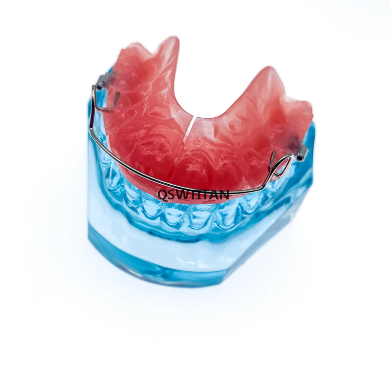 Dental Functional Orthopedic Bionator Removable Teeth Model 3006 Teach Study