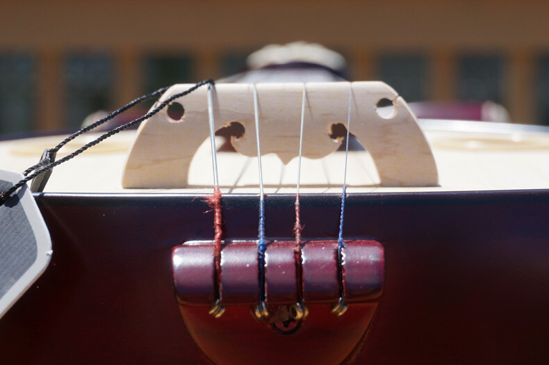 PROFESSIONAL HARD WOOD XIAORUAN -- 專業硬木骨花小阮