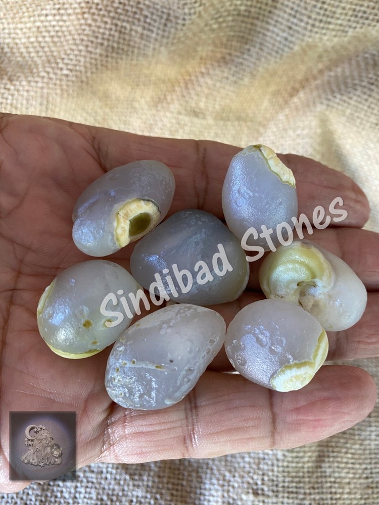 Snake Egg Stone - Snake Gem - snake egg حجر بيض الحية - جوهرة الثعبان - بيض افعى