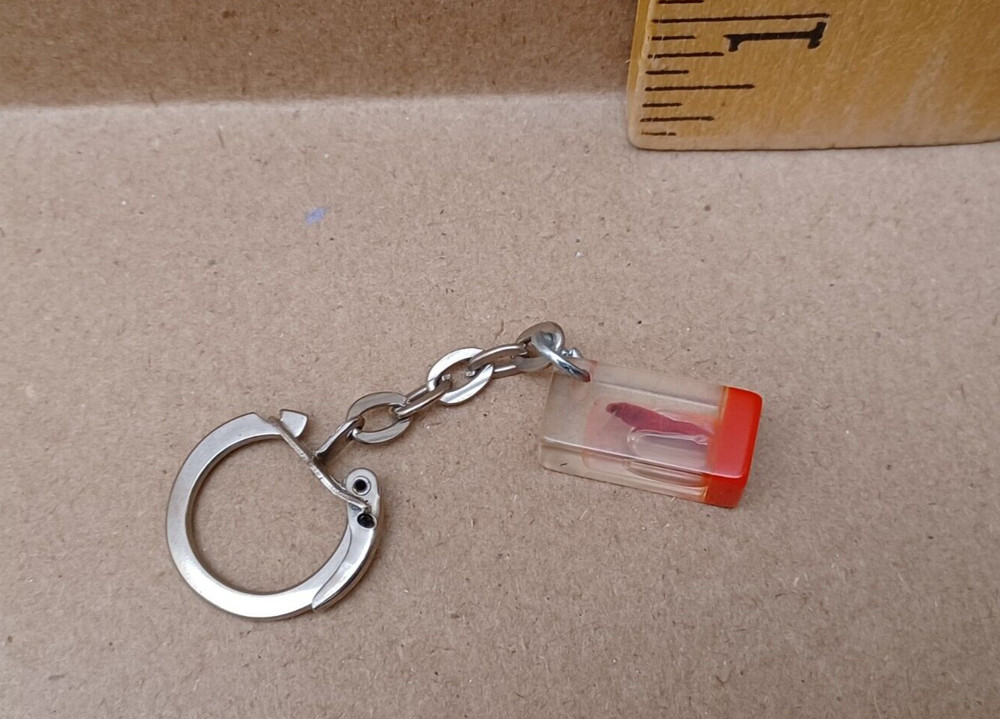 Fish Specimen Acrylic Encased Keychain