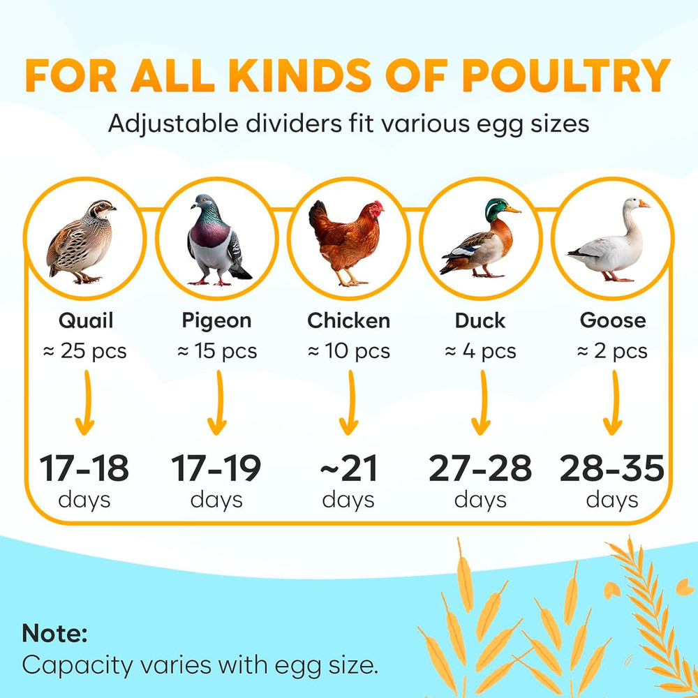 18 Egg Incubator with Automatic Egg Turning and Humidity Control – Egg Incubator