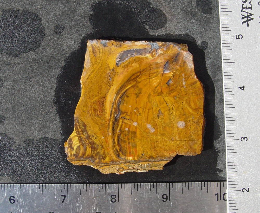 Roostertail Agate Lapidary Slab 1342