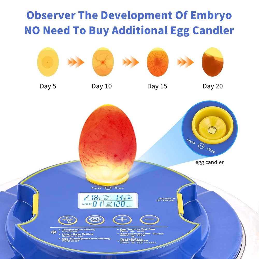 Incubators for Hatching Eggs,18 Egg Incubator with Automatic Egg Turning and ...