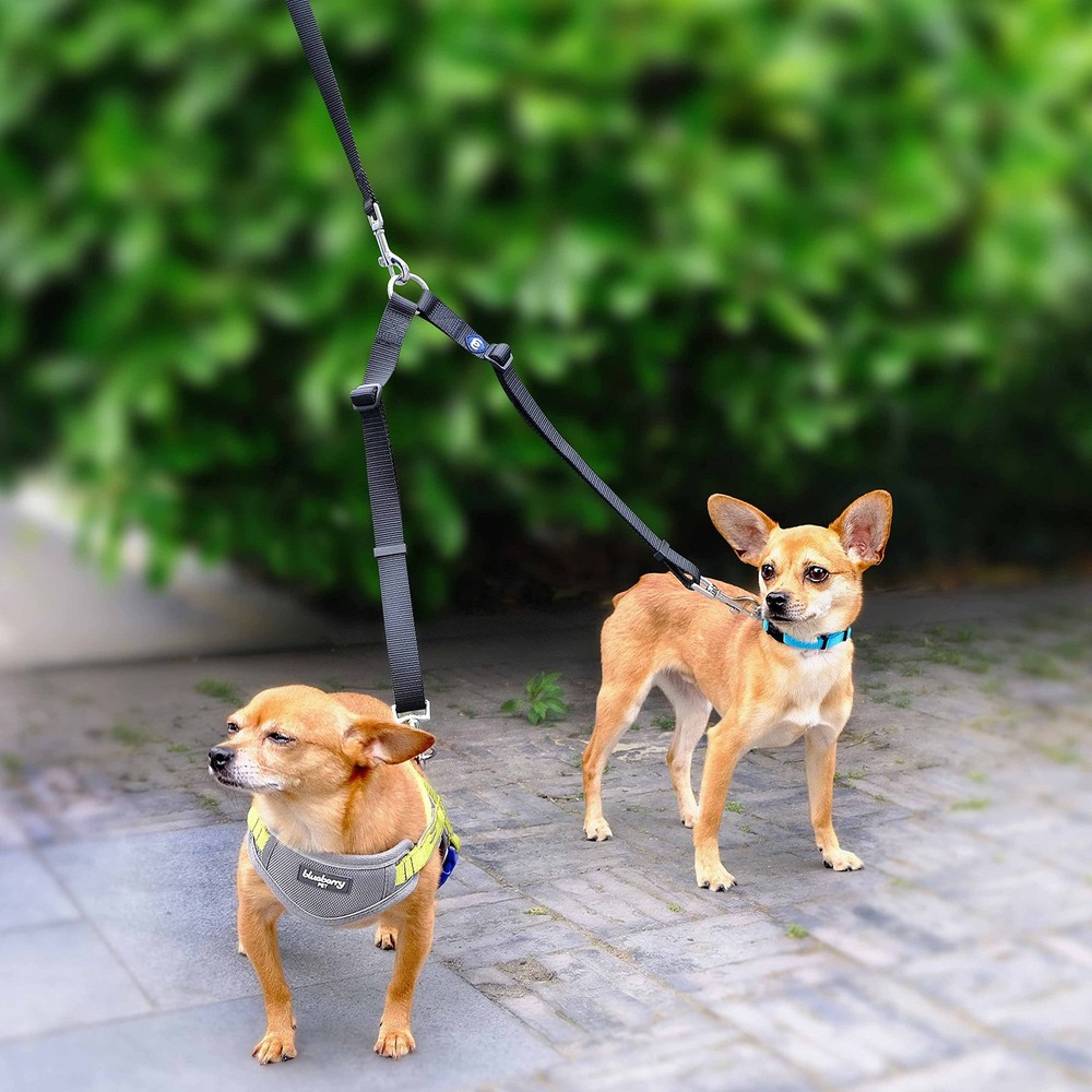 Essentials Durable Classic Double Dog Leash Coupler, Dark Orchid, Medium/Larg...