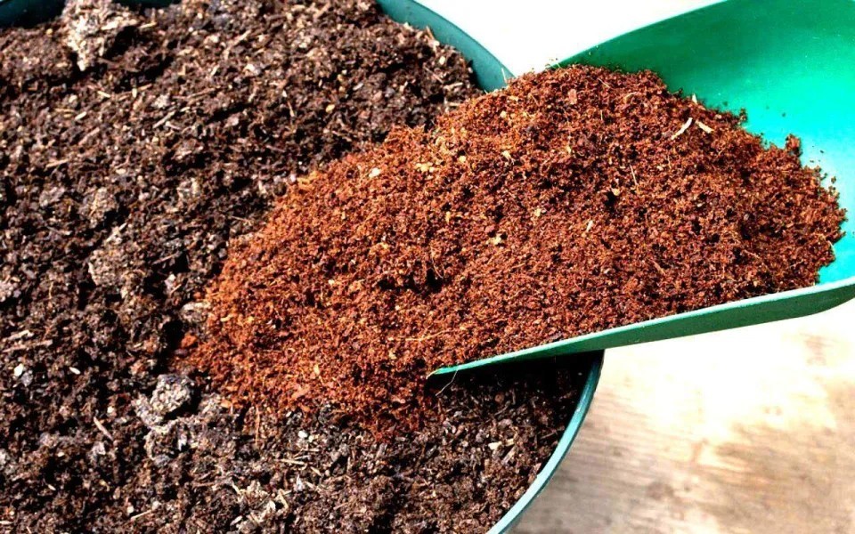 COCO COIR COCO PEAT 100% ORGANIC COMPOST HYDROPONIC GROWING MEDIA 100g