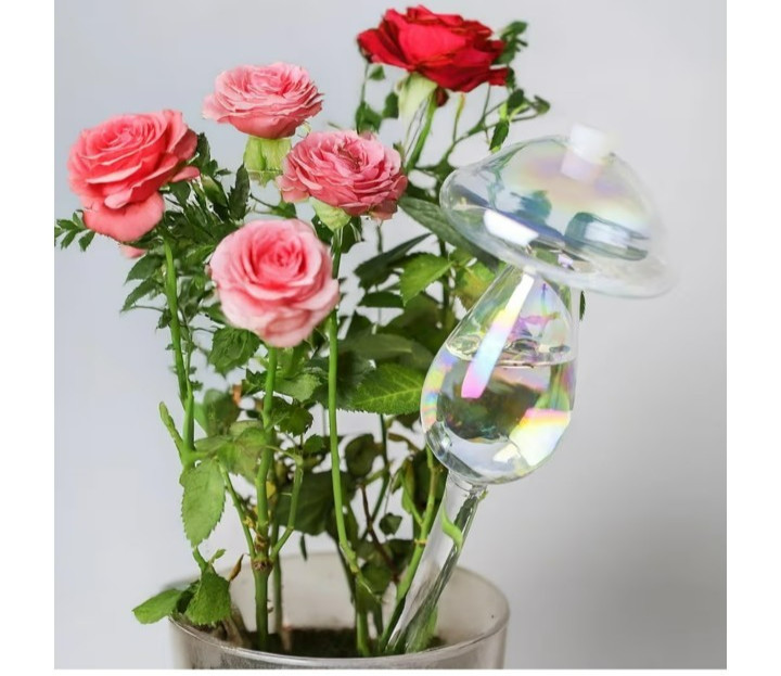 4 pack Mushroom self watering plant waters