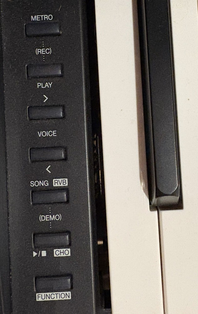 Medeli DP260 Digital Piano