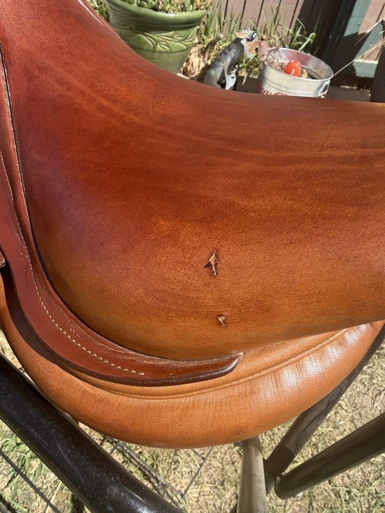 17” PJ premier Jump Saddle