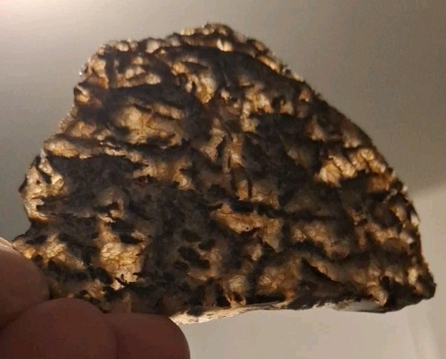 Moss Agate Slab Natural
