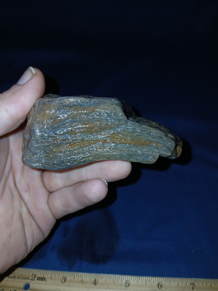 14 oz Texas Petrified Wood