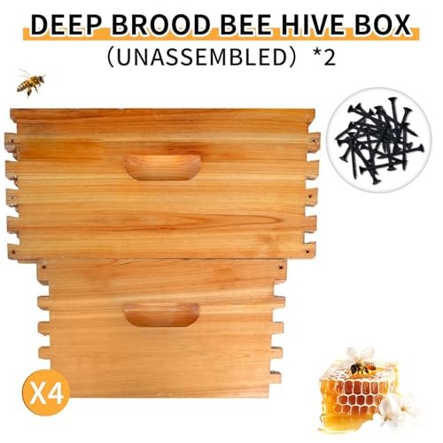 2 Pack Beehive Deep Brood Box 10 Frame Langstroth Deep Brood Bee Hive Box