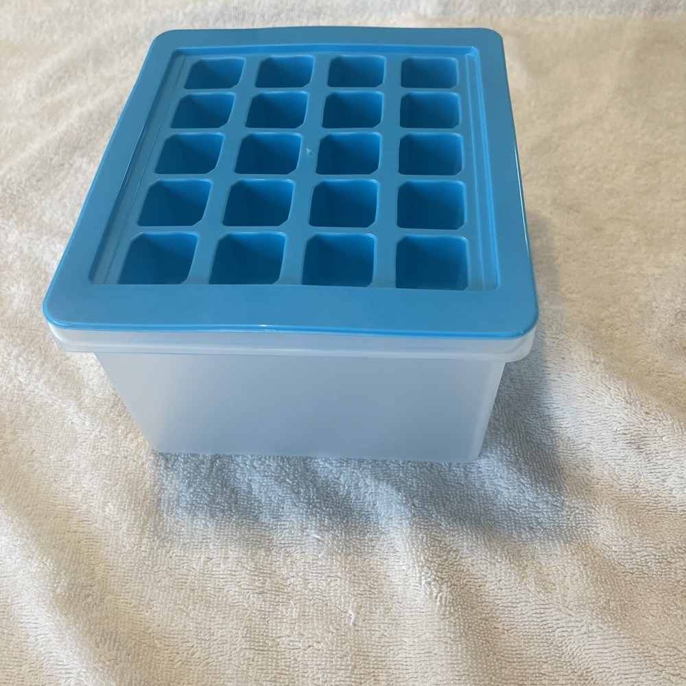 (2) Ice Cube Tray Container Small Square Ice Cubes Mold Cover