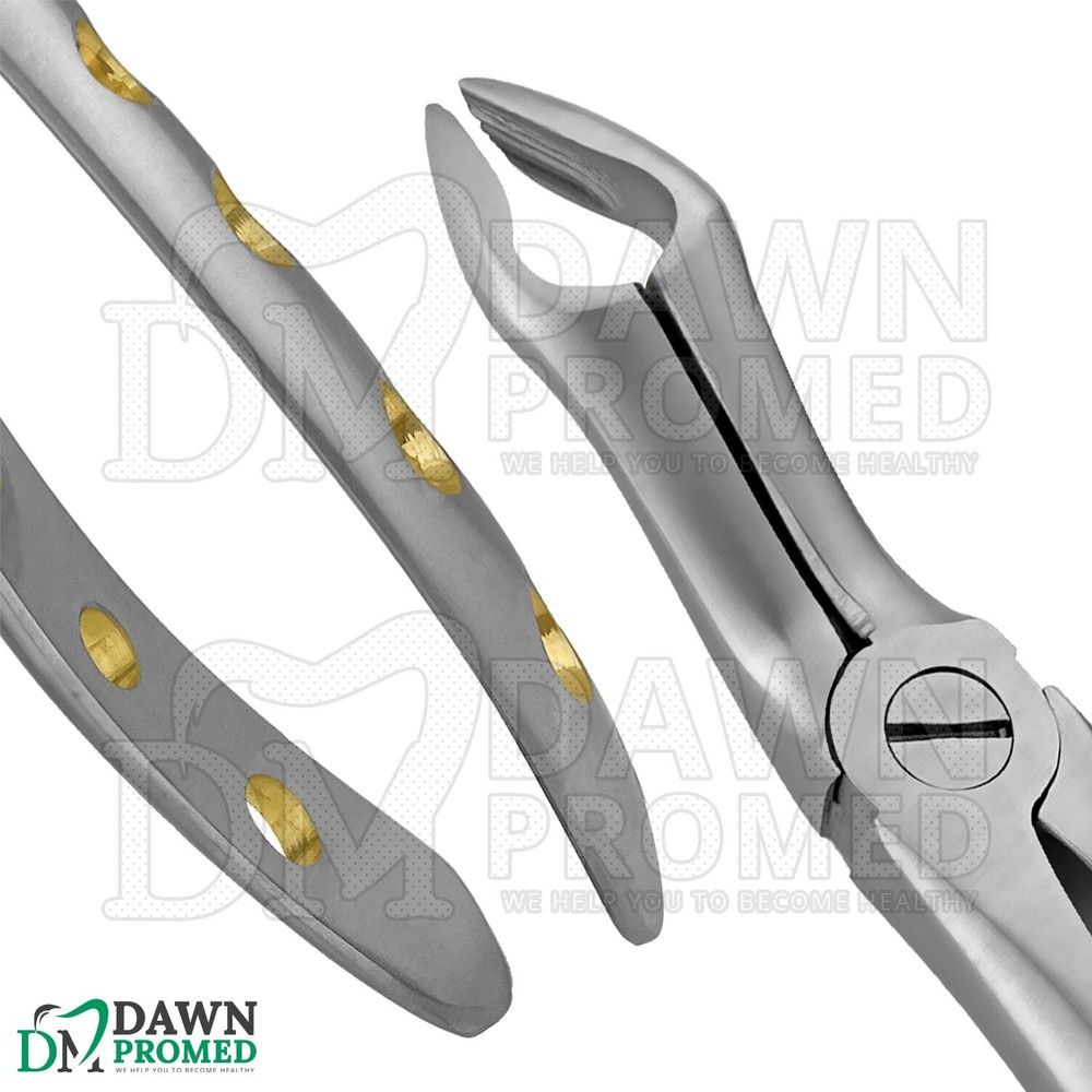 Dental Extracting Forceps #67A Gold Hollow Python Grip Handle German Grade