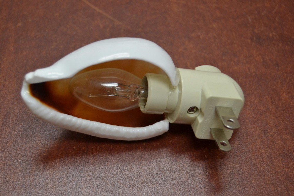 WHITE EGG COWRIE SEA SHELL NIGHT LIGHT KITCHEN #7986