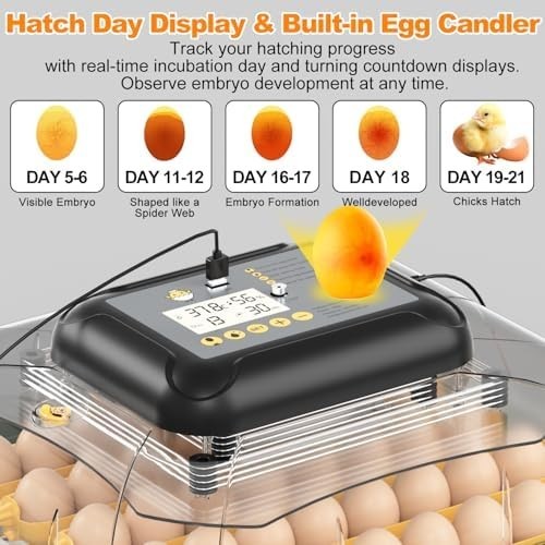 30 Egg Incubator with Humidity Display, Egg Candler, Automatic Egg Turner,