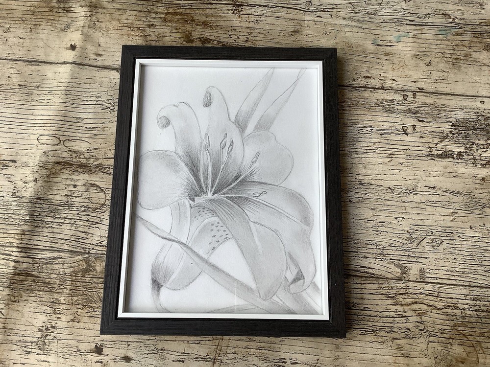 Lilly Drawing Picture