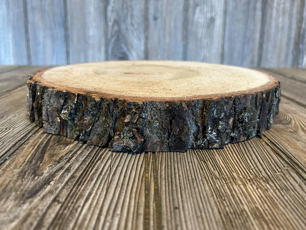 Maple Log Slice Approximately 10 Inches Diameter