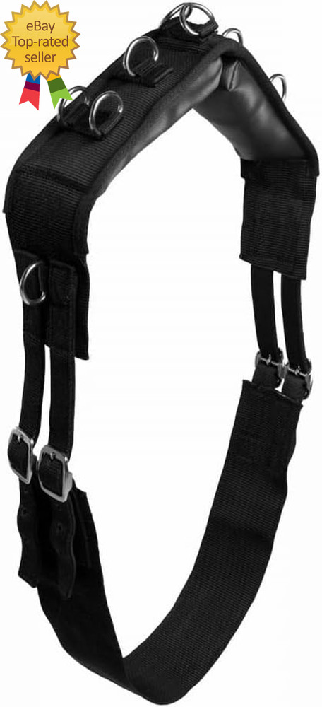 Lunging Surcingle for Horses | Nylon Roller for Training