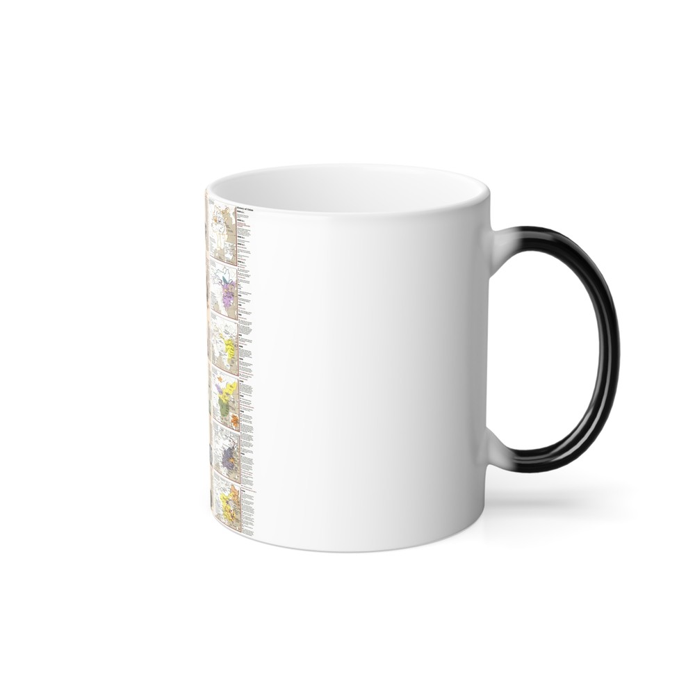 China 2 (1991) (Map) Color Changing Mug 11oz