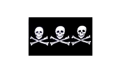 NEW 2 pk. 3 Pirate Skulls Replacement Flag