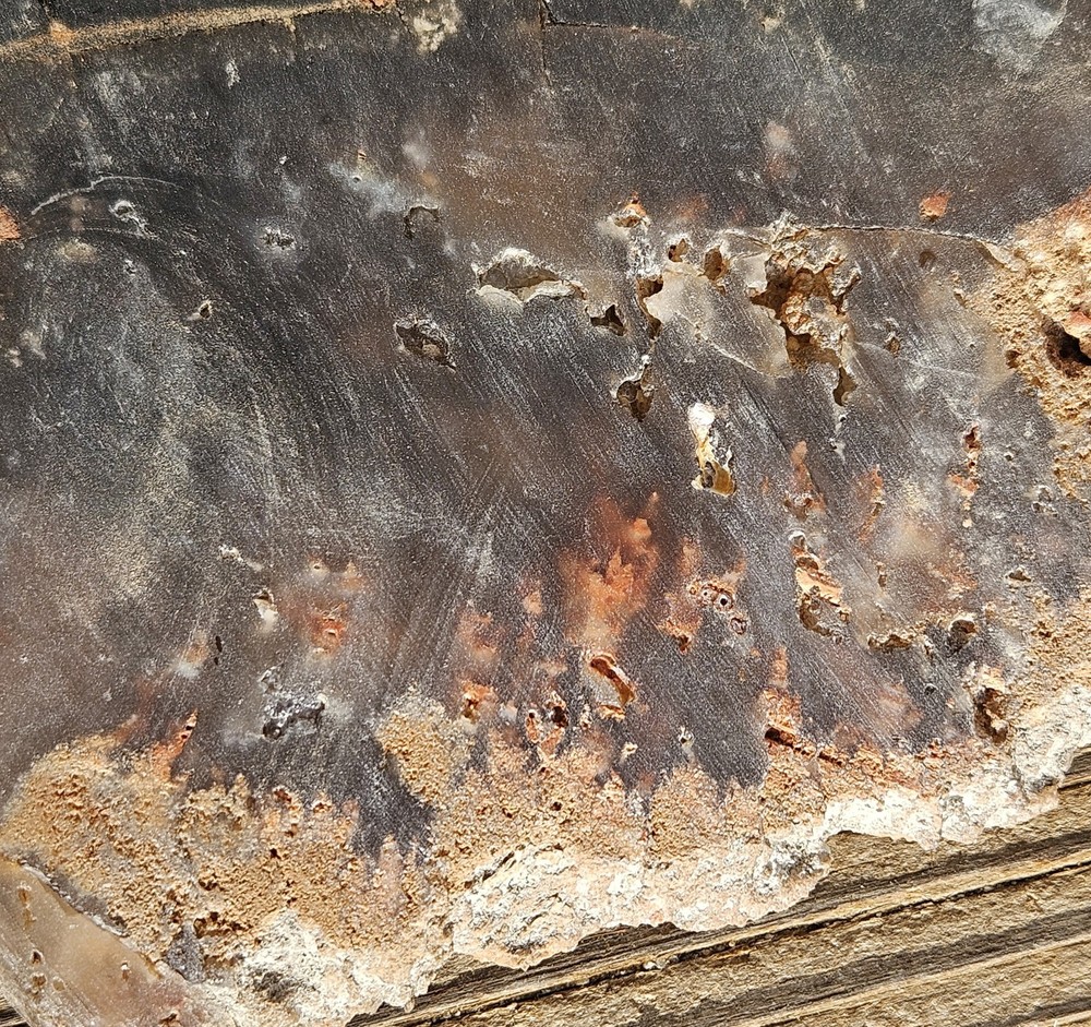 Unknown Lapidary Slab 115 Grams